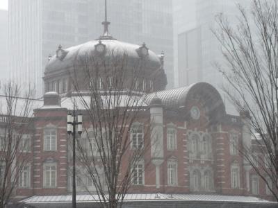 週末散歩　雪の東京散策　東京駅&#12316;浜離宮恩賜庭園&#12316;浅草