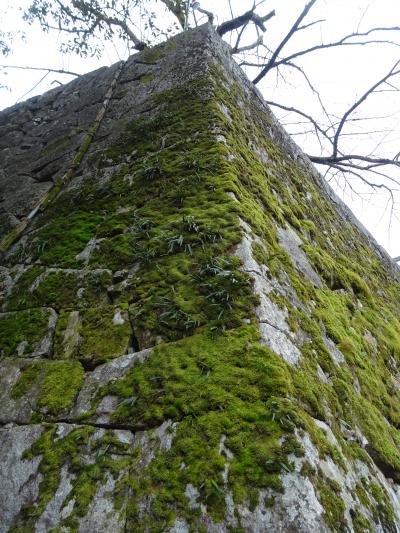 【彦根・近江八幡・大津・山科・京都】小雪舞う素敵な旅♪