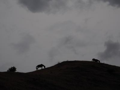 2019年3月 週末旅 in 宮崎 ～ 「日南 南郷プリンスホテル」2日目は土砂降り(T_T) でも伊勢海老美味しかった♪