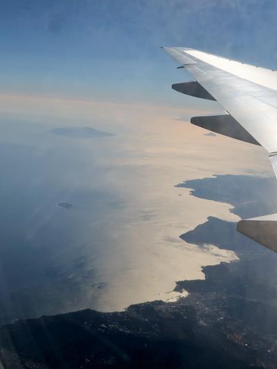 伊豆半島上空　ＪＡＬ113便-33A　大阪/伊丹行　☆沼津辺りの海岸・河川流域も見え