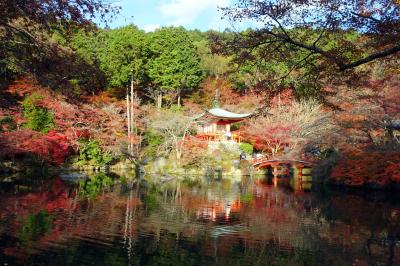 2017 秋・京都山科・醍醐へ紅葉狩り