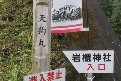 2018秋、群馬と長野の名城(4/20)：10月26日(4)：岩櫃城(4)：地元で丹精の草花、菊