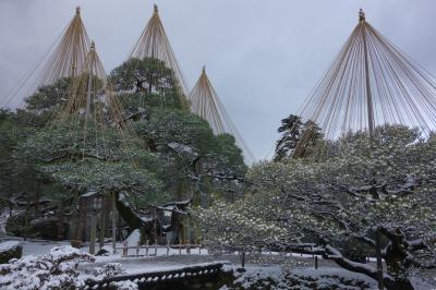 金沢旅行3泊4日(日帰り白川郷+高山ツアー)