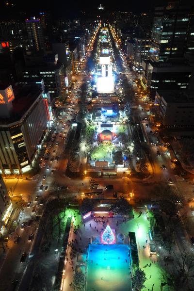 札幌雪まつり2019 初見