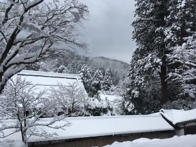 厳寒の永平寺と東尋坊、恐竜博物館。越前名物食べ歩き。