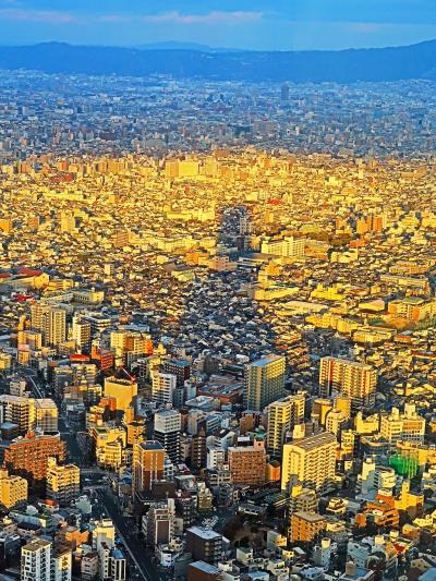 大阪-5　あべのハルカス　ハルカス300（展望台）で　☆日本一の高さ300ｍ/60階の夕景