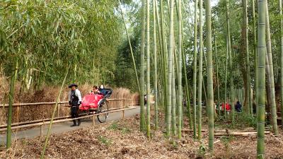 冬の京都１泊２日旅行（兔と猪を巡る旅）２日目