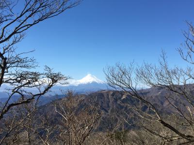 大山登山と神社参拝