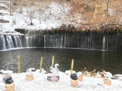 冬の軽井沢日帰り 白糸の滝～真冬のライトアップ