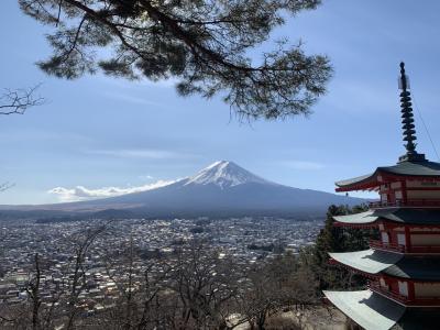 富士山綺麗に見えたよ♪絶景旅館うぶや宿泊
