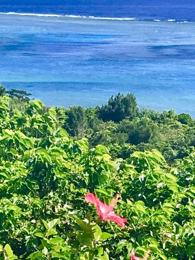 沖縄/毎日寒いから石垣へ逃げるさぁ～＠ホテルククル（2019年2月)