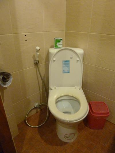 東南アジアのハンドシャワー付きトイレ攻略　夢旅行