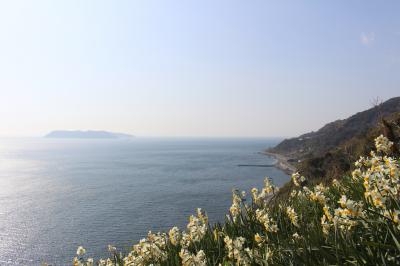 淡路島・灘黒岩の水仙を見に行ってみました。（うずしおクルーズも）