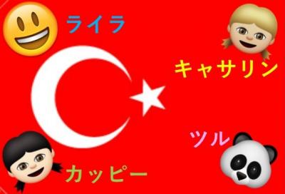 仲良し４人組　トルコ周遊とちょっとだけギリシャ・ロードス島