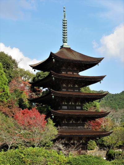 ２０１８年１１月　紅葉の山口　その２　瑠璃光寺の五重塔と香山公園