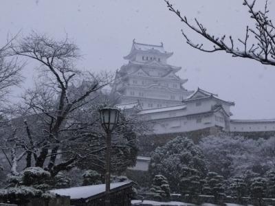雪化粧の姫路城