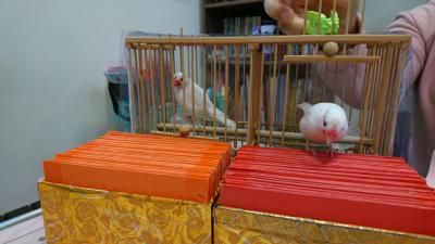 Day5 台北駅周辺を歩く