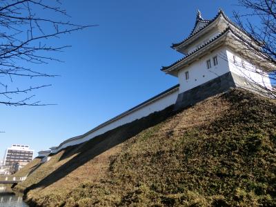 宇都宮城址