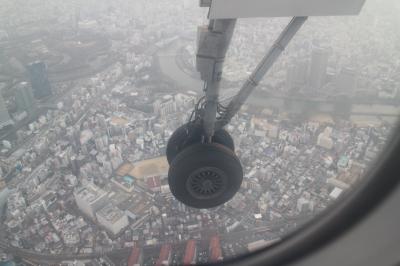 ボンバルディアDHC8-Q400に乗り仙台から伊丹へ。仙台ビール園に仙台空港ピア棟など。