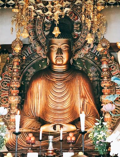 京の冬の旅初公開　転法輪寺と、狛イノシシさんたちが守る護王神社にいってきました。