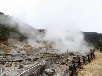 地獄に落ちた!!2019年２月雲仙温泉・ちょっと島原　酸性・含硫黄－アルミニウム－硫酸塩泉 PH2.4 強酸性４