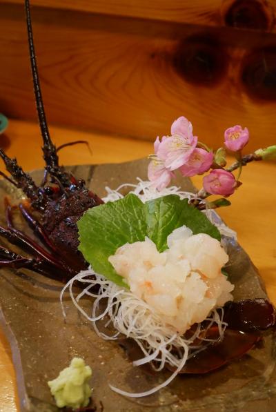 GO GO下田・河津桜と凄っ！菜の花畑&二湯巡り、名店花水季で奮発、伊勢海老をお願いしまっス編