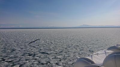 寒さに　耐えれるか？！　オホーツク大氷原　流氷クルーズ！