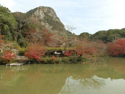 九州絶景紅葉（御船山楽園・九年庵）の旅