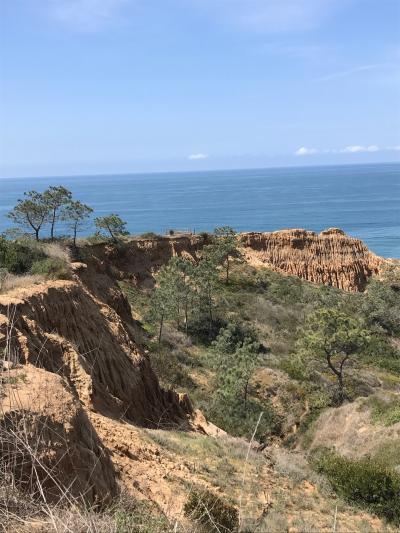 てくてくサンディエゴ Torrey Pine の絶景