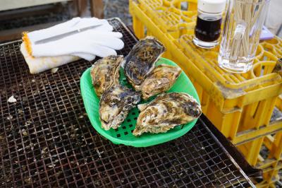 東北がオラを呼んでいる。前半　石巻で牡蠣を食べよう。（かき小屋渡波）