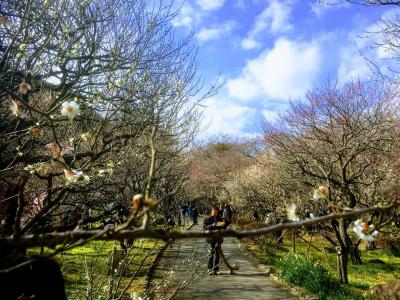 伊豆旅行初日 熱海から伊東へ