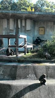 東山動物園と名古屋市博物館　1日目