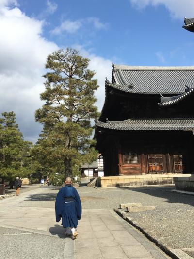 冬の京都（1）おばんざい、妙心寺