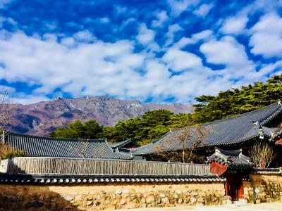 韓国   釜山から世界遺産の通度寺へ