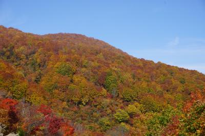 紅葉の鍋倉山へ