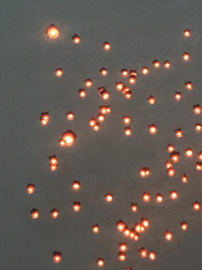 冬の台北は暖かかった!