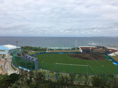 プロ野球沖縄キャンプ見学2019～横浜DeNAベイスターズ編～