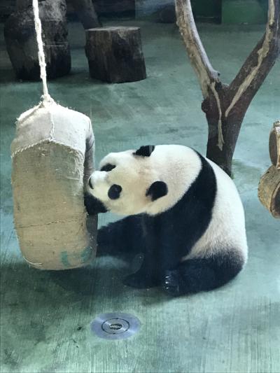 冬の台北は暖かかった!2日目