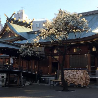 湯島天神梅まつり初日