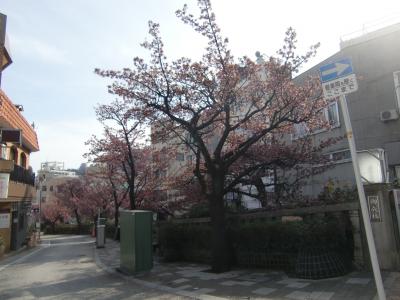 熱海が熱い(^^♪