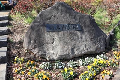 大倉山公園の梅林＆熊野神社