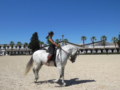 ヘレス・デ・ラ・フロンテーラ_Jerez de la Frontera　馬にシェリー酒にフラメンコ！貴重なアンダルシア文化が育まれた町