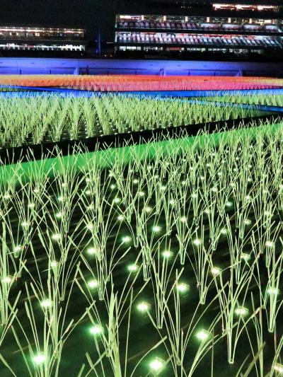 東京 MEGA イルミ-3   江戸期-極彩色-棚田再現　☆どこか懐かしく/力強く逞しい絶景に