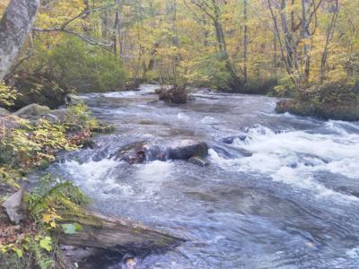 紅葉の旬を迎えた酸ヶ湯温泉～八甲田山～奥入瀬巡り