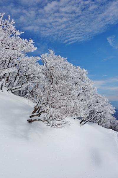 ちょっと寄り道/四日市から９０分で別世界・御在所ロープウエイで御在所山頂へ