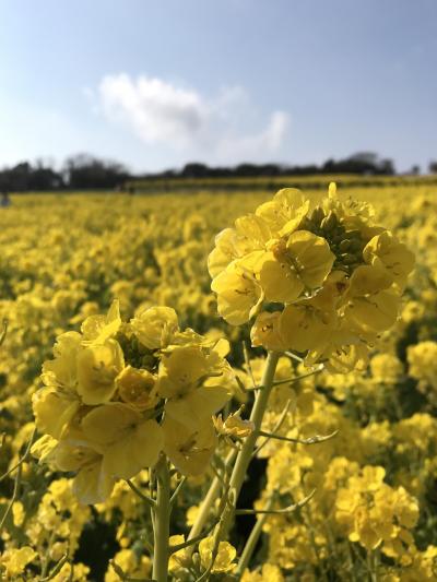 関西3府県めぐり