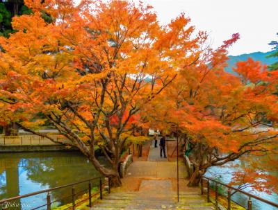 赤い　彩に　囲まれて・・・