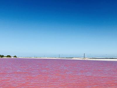 プラヤ・デル・カルメン散策&コスメル体験ダイビング&セノーテ&ピンクレイク&チチェンイッツァ