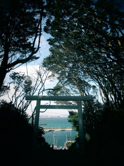 2019年2月　宝くじが当たる？神社めぐり