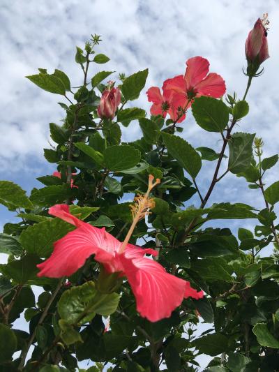 さくっと沖縄旅行